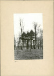 Ewidencja parkowa, skan nr 11