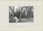 Ewidencja parkowa, skan nr 34