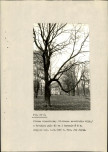 Ewidencja parkowa, skan nr 35