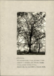 Ewidencja parkowa, skan nr 36