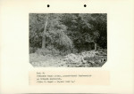 EP - Ewidencja parkowa, skan nr 29