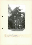 EP - Ewidencja parkowa, skan nr 28