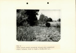 EP - Ewidencja parkowa, skan nr 28