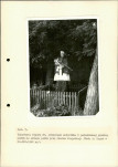 EP - Ewidencja parkowa, skan nr 29