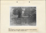 EP - Ewidencja parkowa, skan nr 20