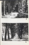 Ewidencja parkowa, skan nr 40