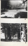Ewidencja parkowa, skan nr 43