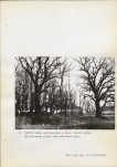 Ewidencja parkowa, skan nr 42