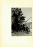 Ewidencja parkowa, skan nr 43