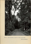 Ewidencja parkowa, skan nr 74