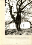 Ewidencja parkowa, skan nr 40