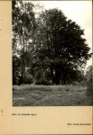 EP - Ewidencja parkowa, skan nr 32