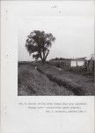 EP - Ewidencja parkowa, skan nr 46