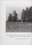 EP - Ewidencja parkowa, skan nr 47