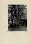 Ewidencja parkowa, skan nr 38