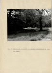 Ewidencja parkowa, skan nr 33