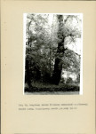Ewidencja parkowa, skan nr 54