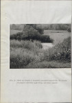 EP - Ewidencja parkowa, skan nr 41