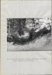 EP - Ewidencja parkowa, skan nr 43