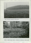 Ewidencja parkowa, skan nr 42