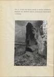 EP - Ewidencja parkowa, skan nr 53