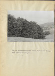 EP - Ewidencja parkowa, skan nr 66