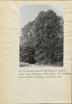 EP - Ewidencja parkowa, skan nr 67