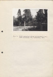 EP - Ewidencja parkowa, skan nr 29