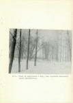 Ewidencja parkowa, skan nr 30