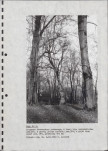EP - Ewidencja parkowa, skan nr 48
