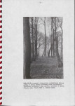 EP - Ewidencja parkowa, skan nr 41