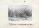 EP - Ewidencja parkowa, skan nr 26