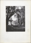 Ewidencja parkowa, skan nr 15