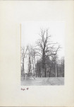 Ewidencja parkowa, skan nr 29