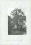 EP - Ewidencja parkowa, skan nr 29