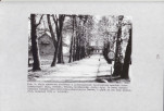 EP - Ewidencja parkowa, skan nr 70