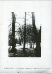 Ewidencja parkowa, skan nr 14