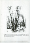 Ewidencja parkowa, skan nr 16