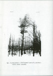 Ewidencja parkowa, skan nr 20