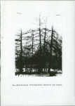 Ewidencja parkowa, skan nr 25
