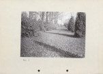 Ewidencja parkowa, skan nr 25