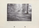 Ewidencja parkowa, skan nr 28