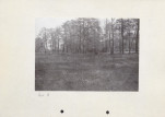Ewidencja parkowa, skan nr 32