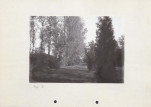 Ewidencja parkowa, skan nr 33