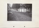 Ewidencja parkowa, skan nr 41