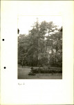 EP - Ewidencja parkowa, skan nr 21