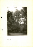EP - Ewidencja parkowa, skan nr 29
