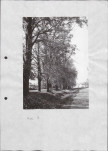 Ewidencja parkowa, skan nr 25