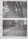 Ewidencja parkowa, skan nr 28