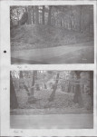 Ewidencja parkowa, skan nr 29